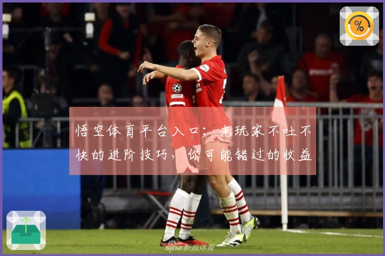 悟空体育平台入口：老玩家不吐不快的进阶技巧，你可能错过的收益全在这儿了