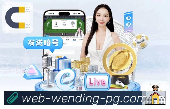 比分赛后说明查询